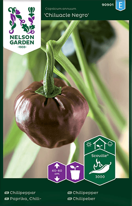 Hovedbilde Chilipepper 'Chiluacle Negro'