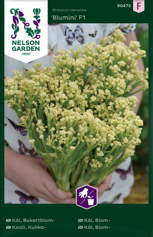Kål, Bukettblom 'Blumini' F1