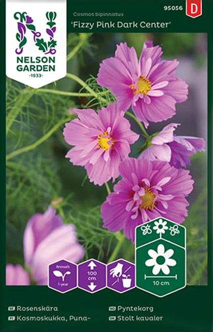 Hovedbilde Pyntekorg 'Fizzy Pink Dark Center'