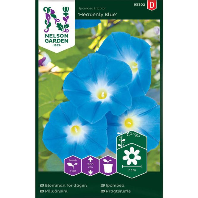 Hovedbilde Ipomoea 'Heavenly Blue'