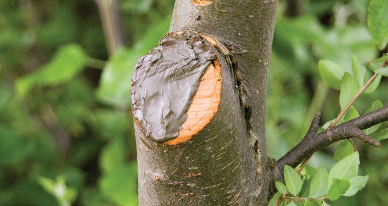 Sårbalsam 150 g