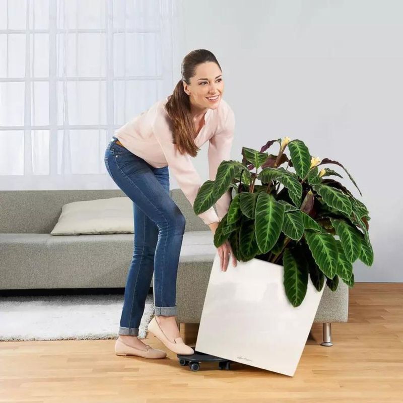 Cube Premium 50, Lechuza Blomsterpotte