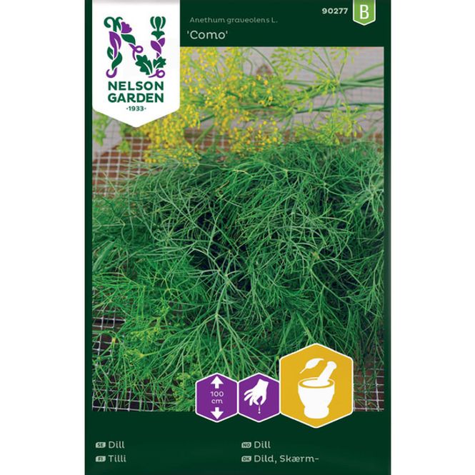 Hovedbilde Dill 'Como'