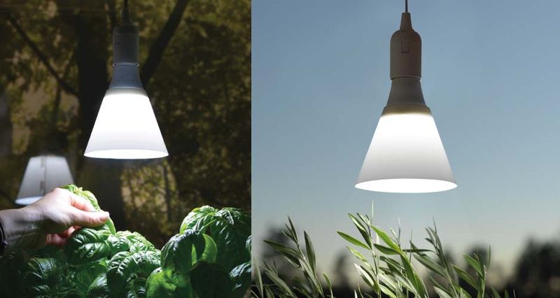Plantelys LED-pære 15 W E27-sokkel