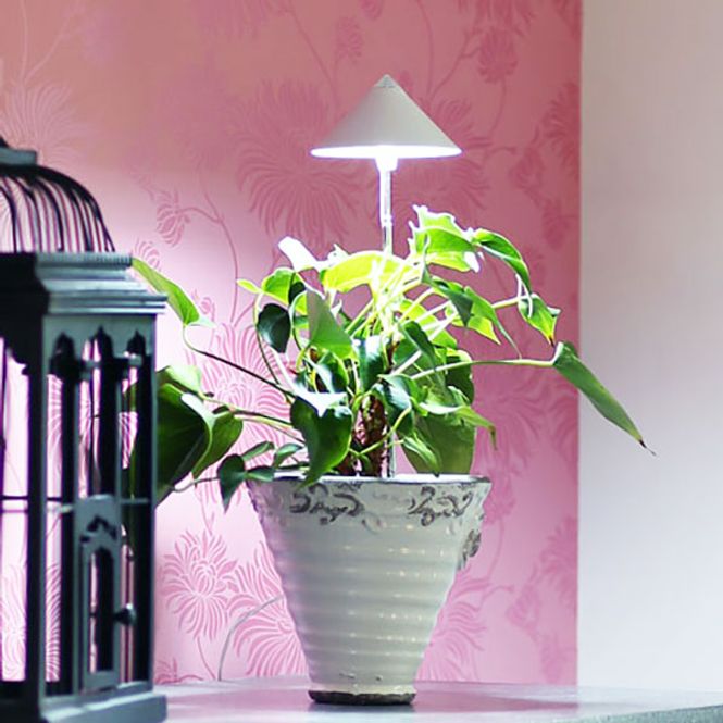 Hovedbilde Sunlite LED vekstlampe 'Hvit'