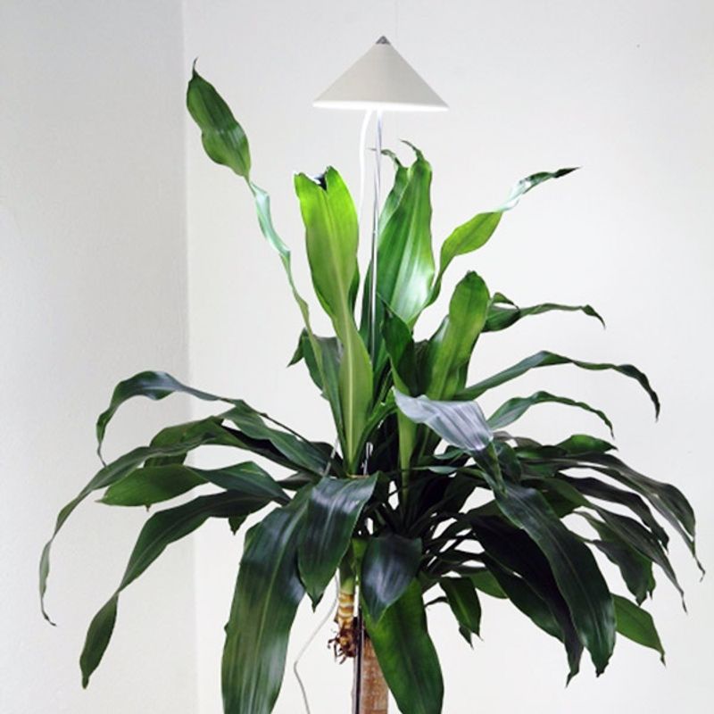 Sunlite XL LED vekstlampe 'Hvit'