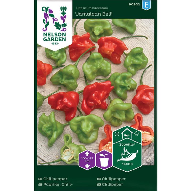 Chilipepper 'Jamaican Bell'