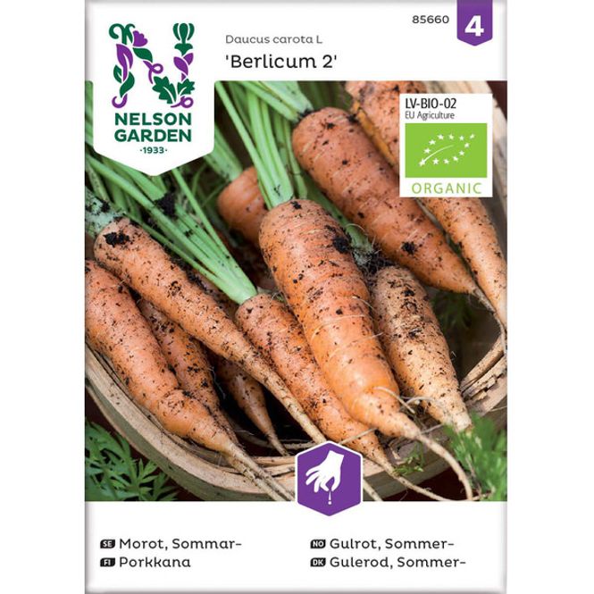Hovedbilde Gulrot, Sommer- 'Berlicum 2'