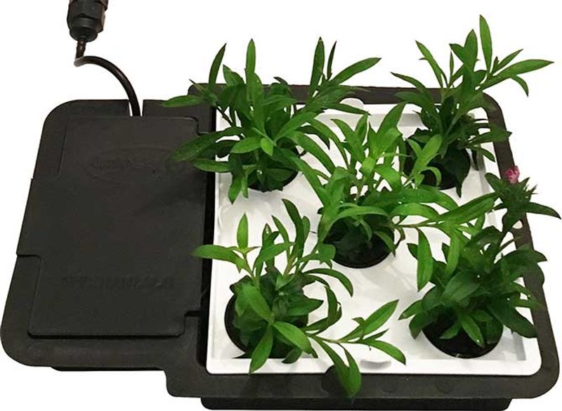 AutoPot AQUAplate Firkantet