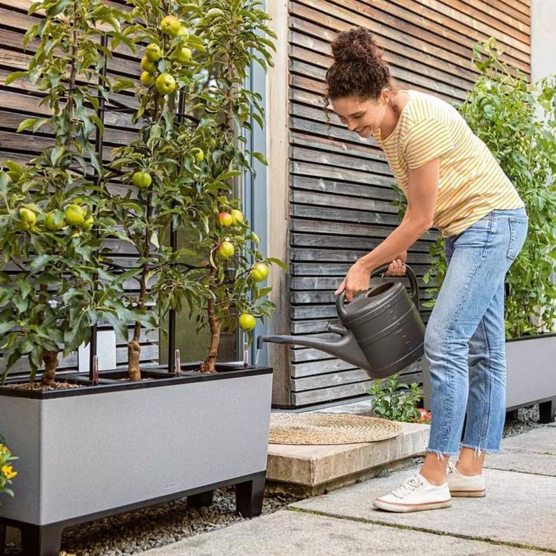 Trio Stone 30, Lechuza Plantekasse