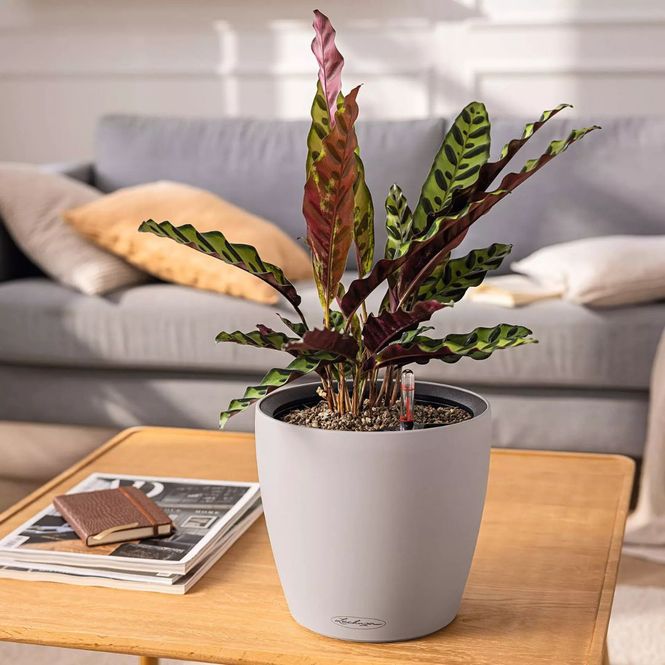 Hovedbilde CLASSICO Color LS 28, Lechuza Blomsterpotte
