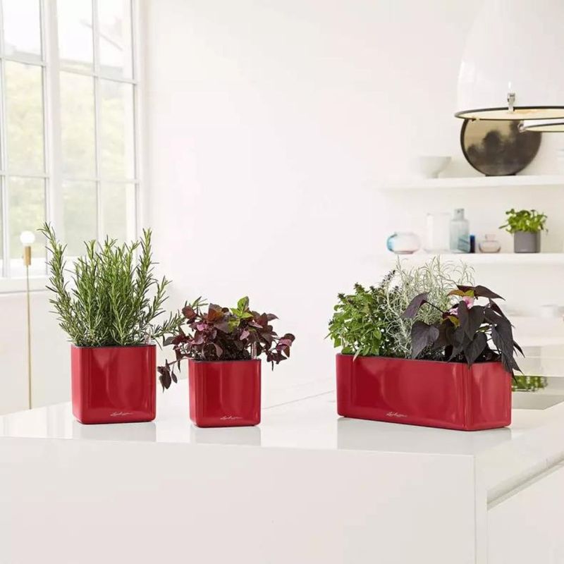 Cube Glossy Triple, Lechuza Blomsterkasse