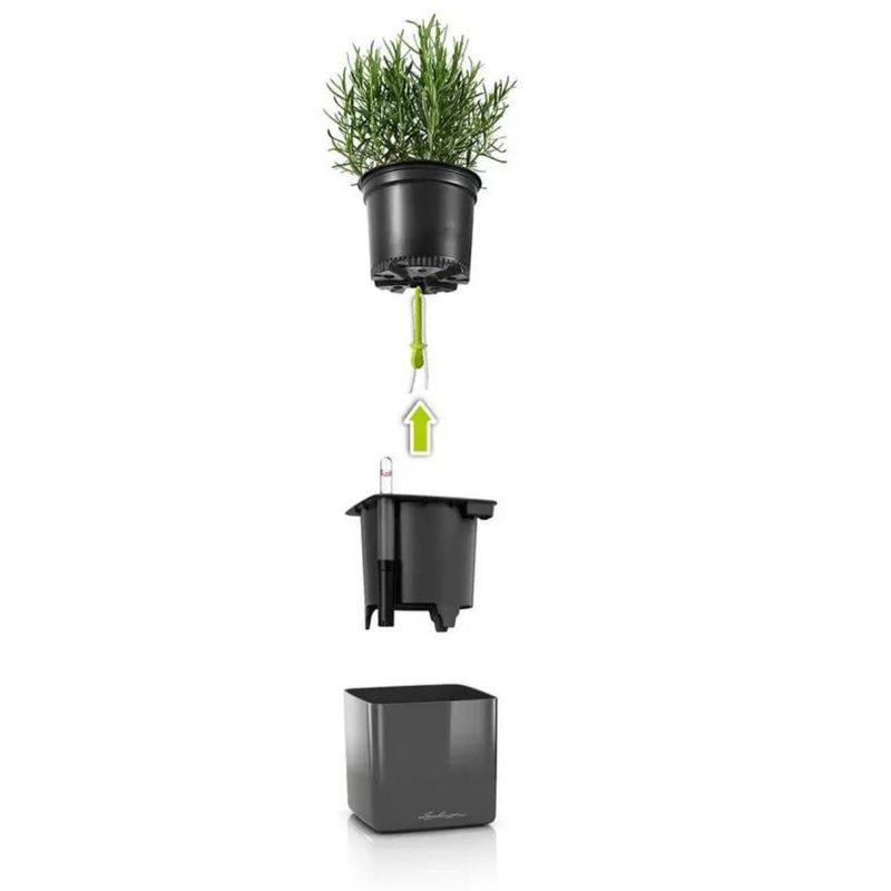 Green Wall Home Kit, Lechuza Blomsterpotter