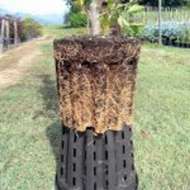 Root Pruning Pot 3L