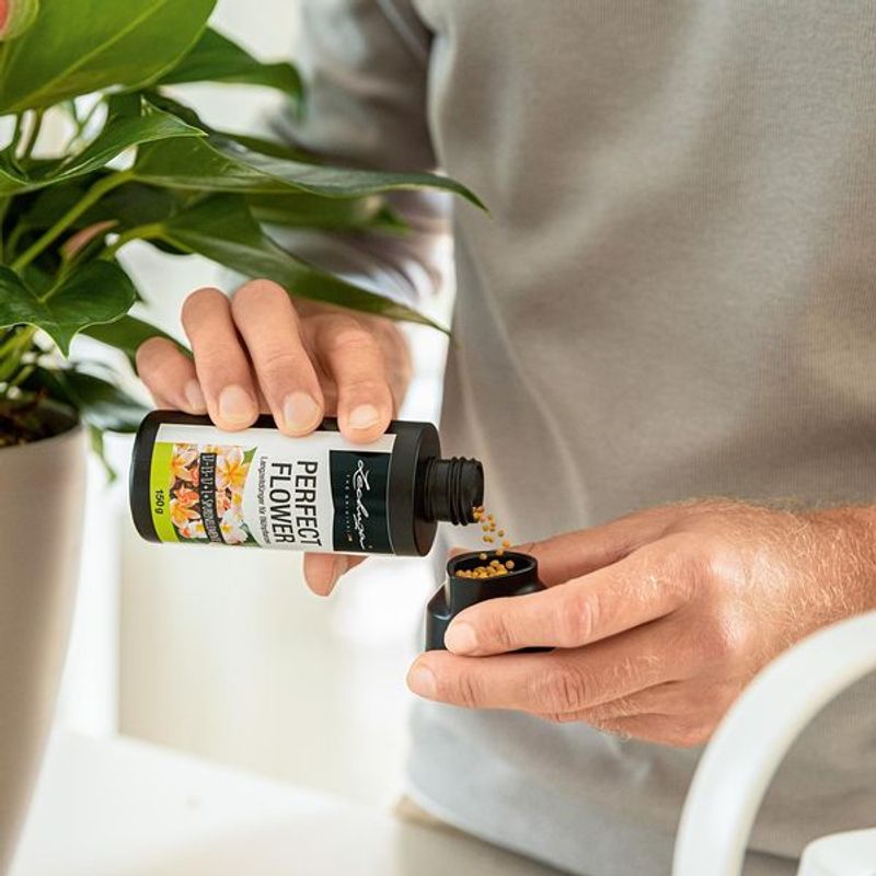 Lechuza Perfect Flower plantenæring 150 g