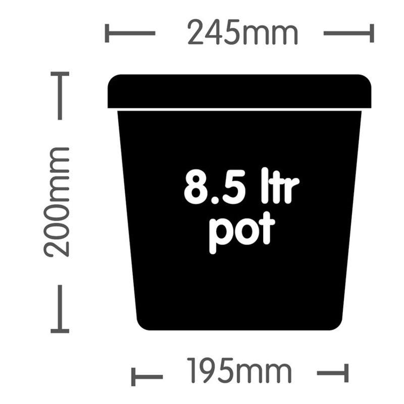 AutoPot 1Pot/2Pot Potte 8,5 L Sort