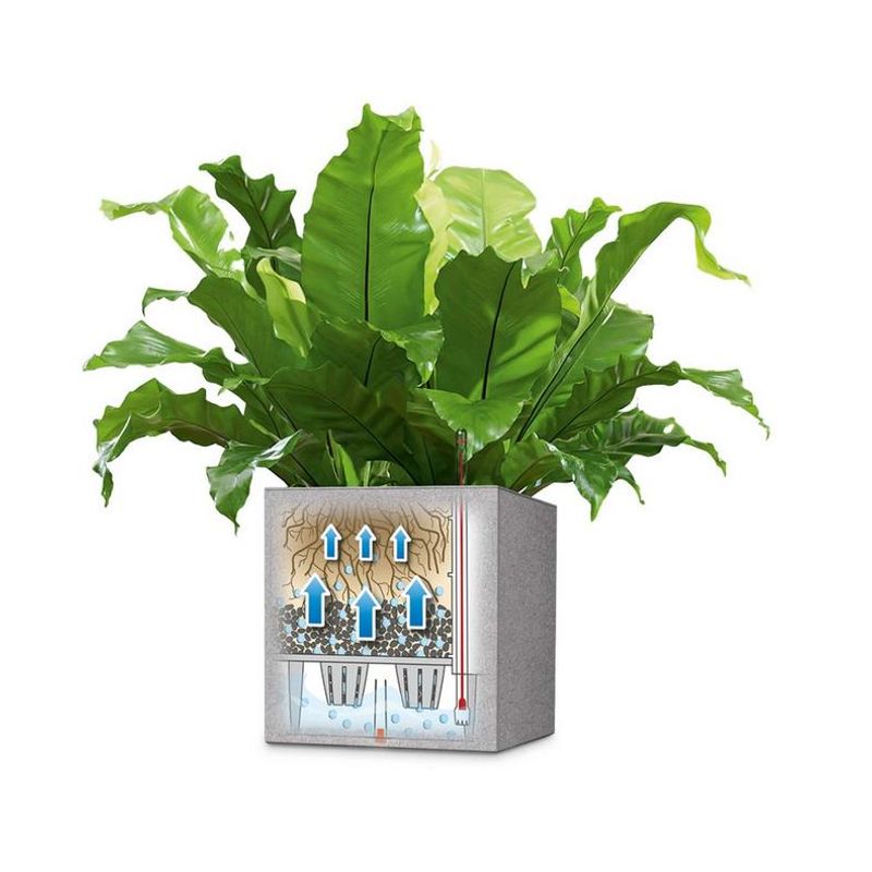 Canto Stone 40 Low, Lechuza Blomsterpotte