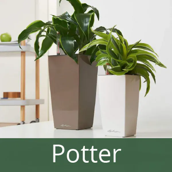 Blomsterpotter