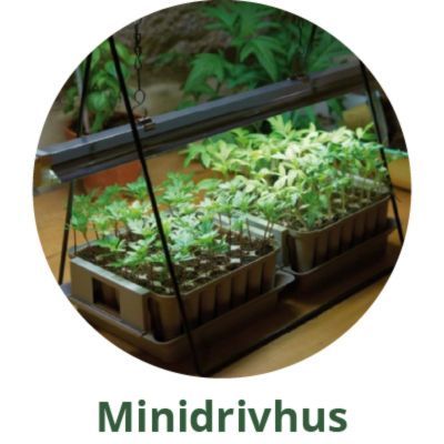 Minidrivhus