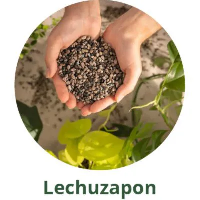 Lechuzapon