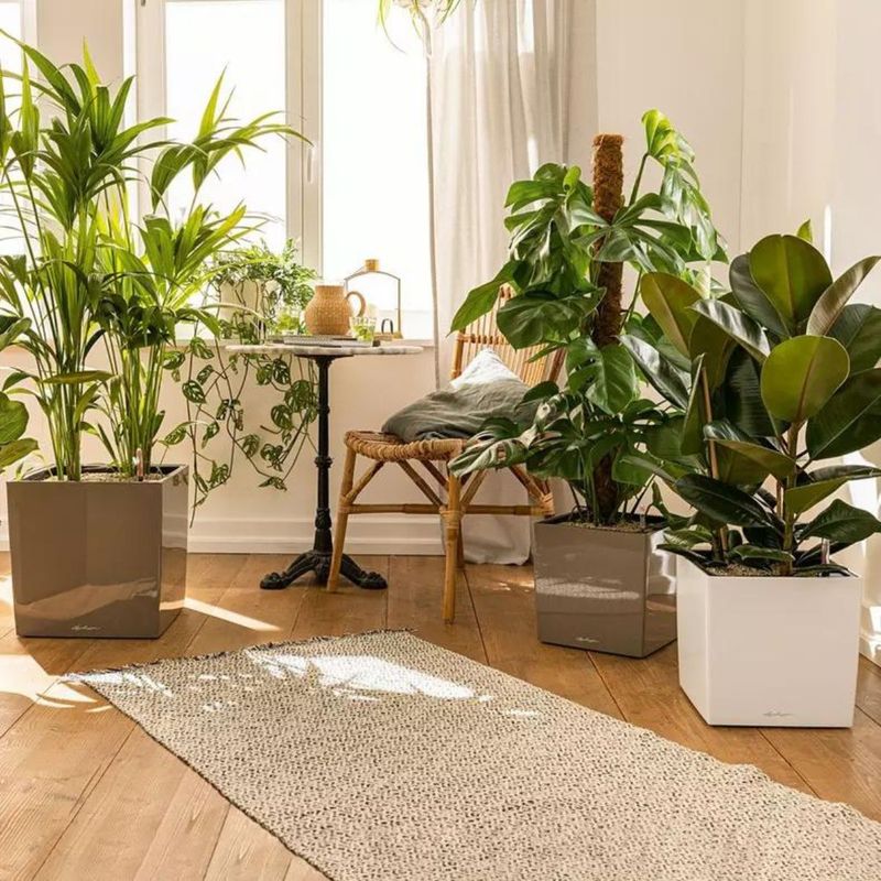 Cube Premium 50, Lechuza Blomsterpotte