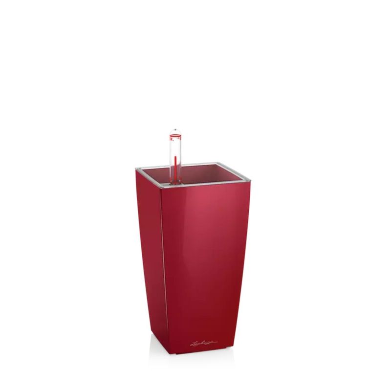 Mini Cubi, Lechuza Selvvanningspotte