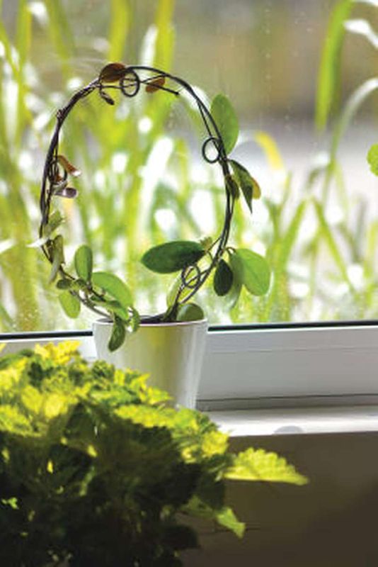 Potteespalier Circle ø28 cm, høyde 38 cm