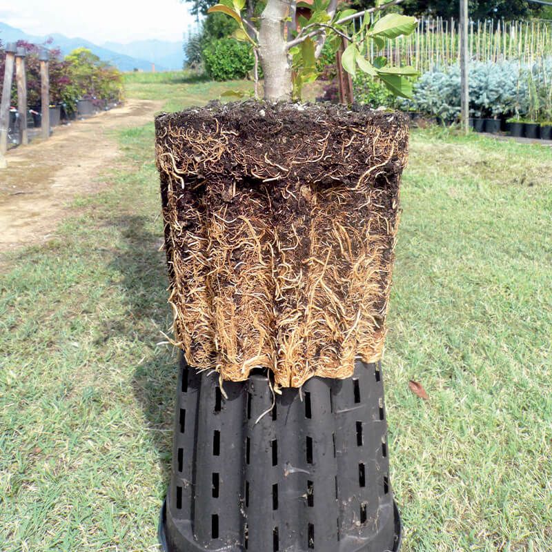 Root Pruning Pot 12L