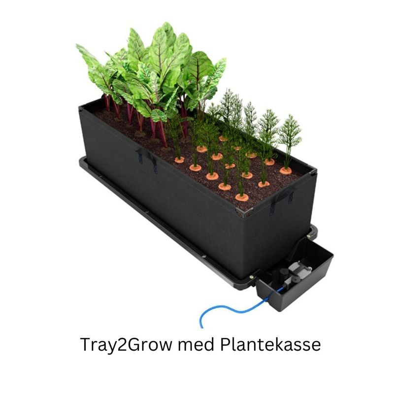 Autopot Tray2Grow Plantekasse